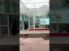 Sichuan Shihong amino acid factory -Lulu