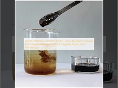 NUTRI-SYNERGY AMINO LIQUID – Plant Metabolic Catalyst with Chelated Micronutrients & Targeted Amino Acid Technology