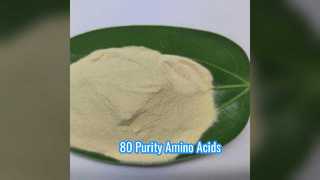 80 Purity Amino Acid Pharma Grade Supplement