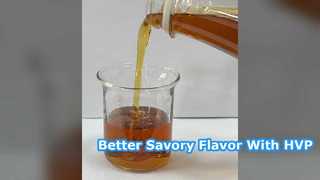 Premium Hydrolyzed Vegetable Protein for Savory Flavor