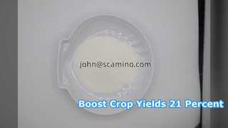 Premium Hydrolyzed Amino Acid Powder 90 Percent for Crops