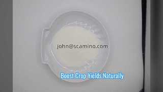 Premium 90 Percent Amino Acid Powder for High Crop Yields