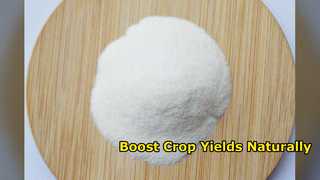 Boost Crop Yields with OMRI Listed Collagen Biostimulant