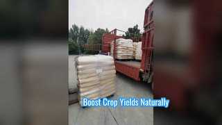 Premium Collagen Biostimulant for High Crop Yields