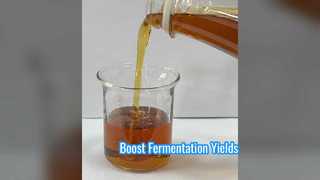 Boost Fermentation Yields Enzymatic Soy Protein