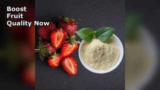 Organic Calcium Fertilizer Boosts Fruit Yield