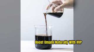 Hydrolyzed Vegetable Protein Natural Savory Flavor Enhancer