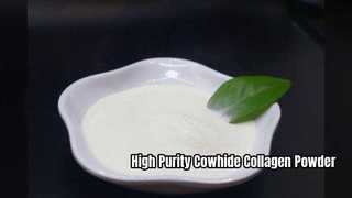 Premium Cowhide Collagen Peptide Powder for Food Industry