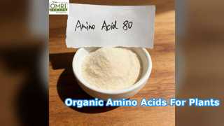 Organic Amino Acid Fertilizer Raw Material
