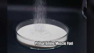 Primal Animal Amino Muscle Growth Recovery