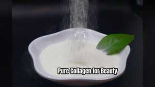 Pure Collagen Peptides for Skin & Joints