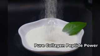 90 Percent Pure Collagen Peptide Food Grade