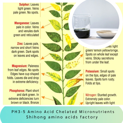 Ph3-5 Amino Acid Chelated Micronutrients Copper Iron Manganese Zinc Boron Molybdenum Cobalt