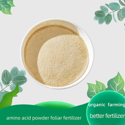 Calcium Magnesium Zinc Boron Mo Amino Acid Foliar Fertilizer 100% Soluble Powder for Optimal Growth