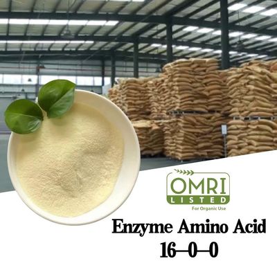 Marine-Source 82% Peptide-Rich Amino Acid Powder - 100% Water Soluble Organic Fertilizer and Bio-Stimulant for High-Value Crops