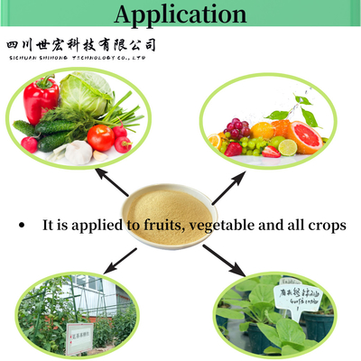 Soya Source Hydrolysate Amino Acid Powder 60% For Agriculture Organic Fertilizer Use