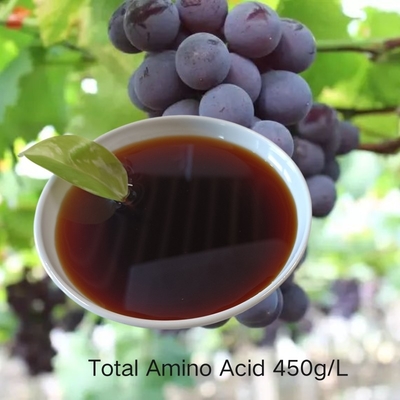 Amino Acid Liquid Fertilizer With 30% Peptides 6% Total Nitrogen Fluidity Amino Acid Fertilizer