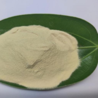 10% Total Nitrogen Powder Organic Fertilizer for Sustainable and Nutritious Agriculture