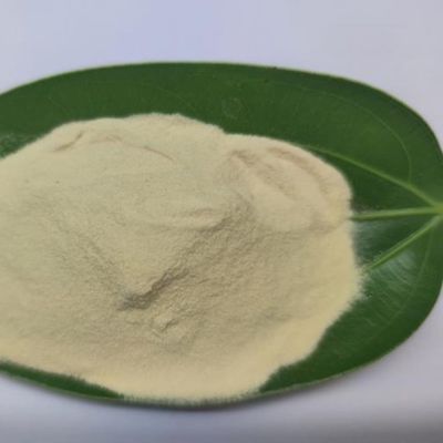 Bio Based Amino Acid Powder Fertilizer Supports Sustainable Farming Practices and Boosts Crop Output