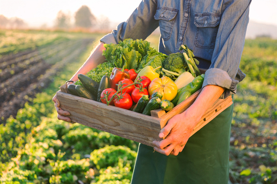 Advanced Amino Acid Calcium Boron Fertilizer – Enhance Crop Health and Maximize Yield