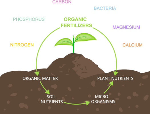 Terra Max Liquid Amino Acid Biofertilizer Pure Organic Nitrogen 16% Slow Release For Optimal Yield And Stress Resilience