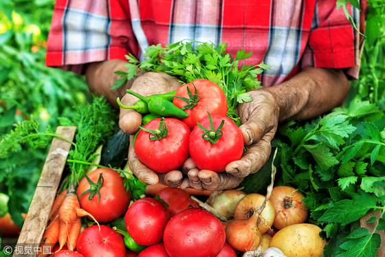 AgroPrime Amino Acid 85% – Advanced Enzymatic Crop Nutrition for Global Sustainability