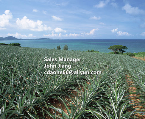 BioGuard Liquid Amino Acid Biofertilizer with Stress Resilience Detox Power and Sustainable Yield