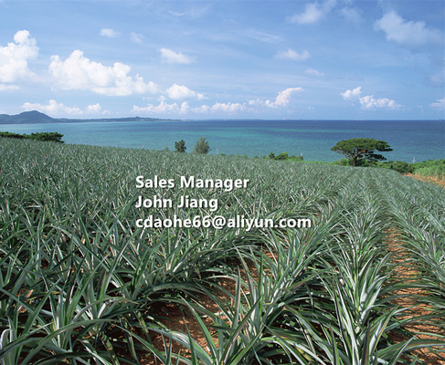 High Efficiency Liquid Oligopeptide Fertilizer with 17.1% Free Amino Acids and Multi-Nutrient Support