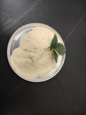 Bone Peptone Protein Hydrolysate – High-Nitrogen Organic Fertilizer & Animal Feed Supplement