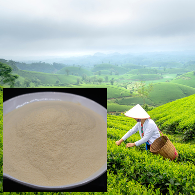 Plant Based Amino Acid Powder 80% Ph 4-6 Amino Acid Foliar Fertilizer