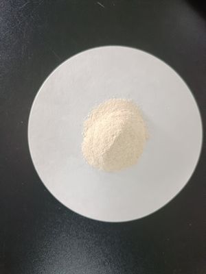 OMRI-Certified Non-GMO Enzymatic Hydrolyzed Soy Protein Powder with High Amino Acid Bioavailability for Industrial Fermentation