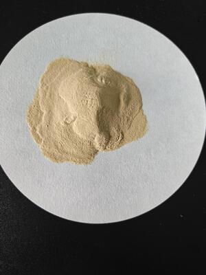 Shihong Enzymatic Amino Acid 90% Powder Nutrition Vegetal Origin Organic Fertilizer Raw material