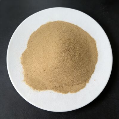 Organic Amino Acid Powder Fertilizer with 40% Amino Acids for Enhanced Soil Microbial Activity and Water Soluble Application