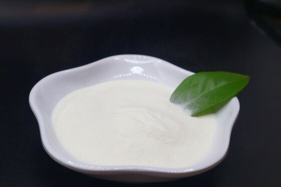 High Protein Hydrolyzed Bovine Collagen Peptide with 10% Hydroxyproline and Strict Molecular Weight Control Under 3000 Daltons