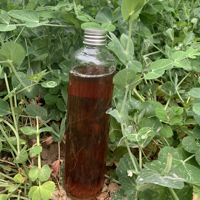 Plant Source Organic Nitrogen Liquid Fertilizer OMRI List Amino Acid 50% 8-0-0