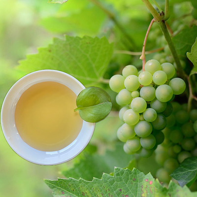 Organic Nitrogen Fertilizer Vegetable Amino Acid Soy Based Amino Acid Clear Yellow Liquid