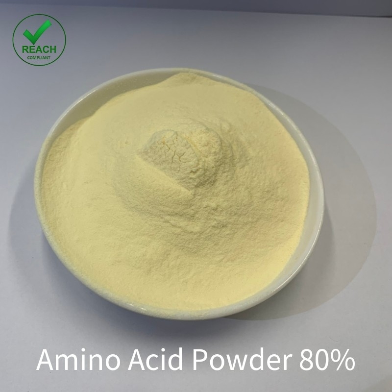 Organic Foliar Spray Fertilizer Enzyme Amino Acid 80% Organic Powder