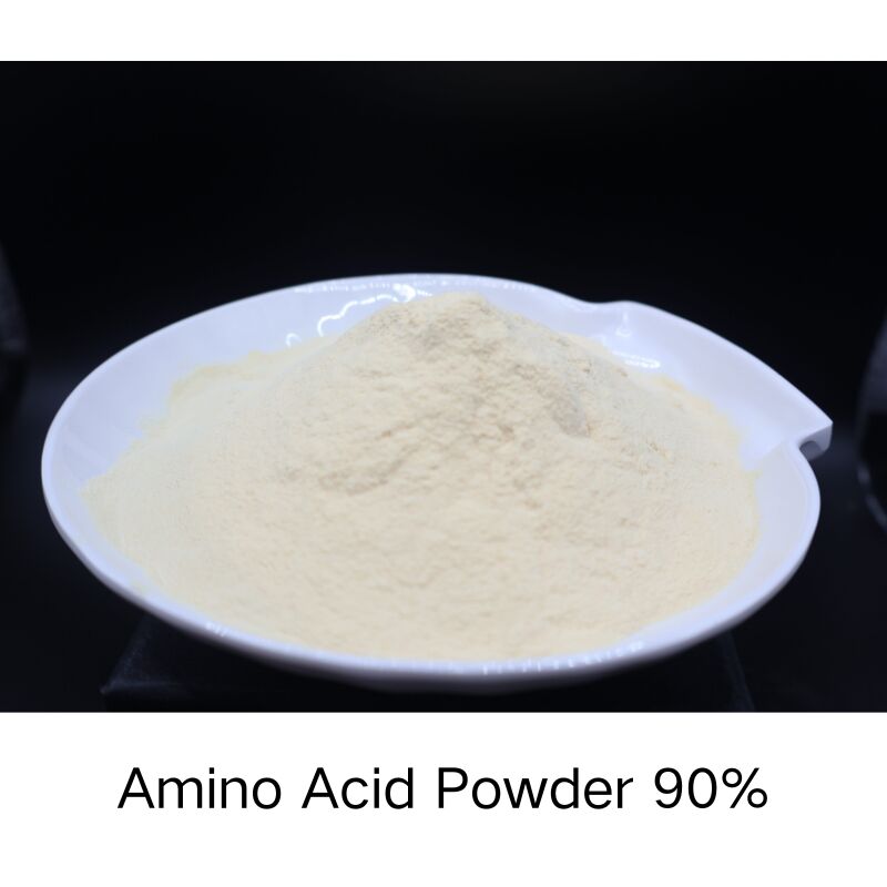 Natural Enzyme Amino Acid Powder with 5000 U/g Enzyme Activity for Enhanced Nutrient Absorption - OMRI Certified