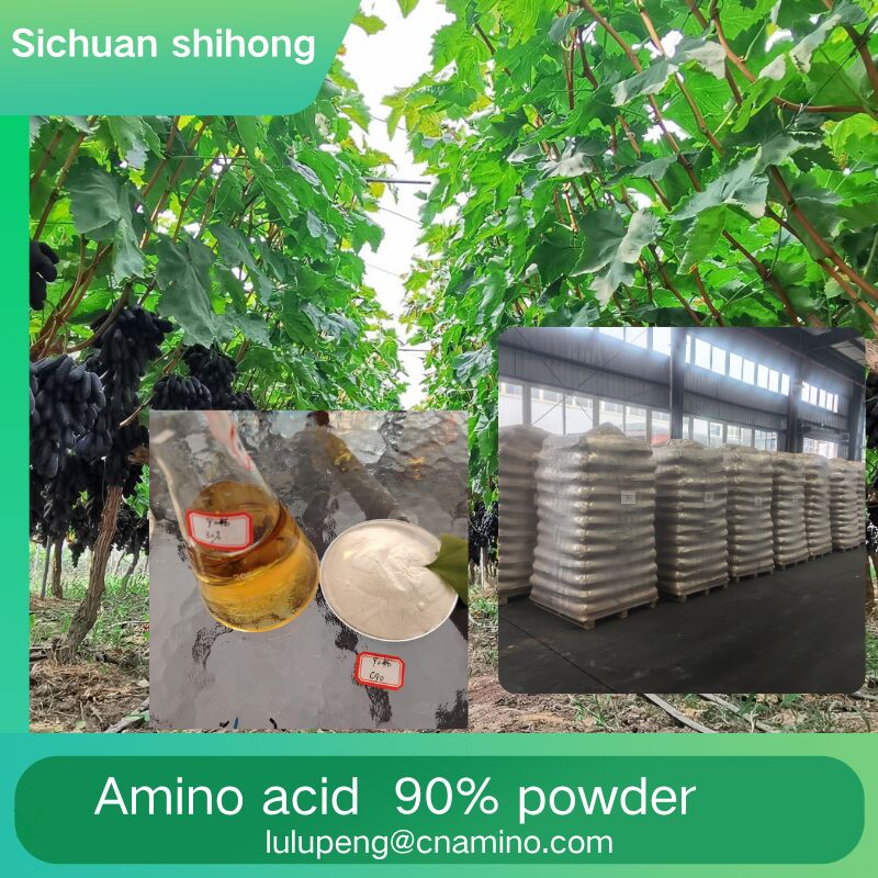 High-Purity Amino Acid Powder with More Than 90% Total Amino Acid and 85% Free Amino Acid for Sports Nutrition and Health Products