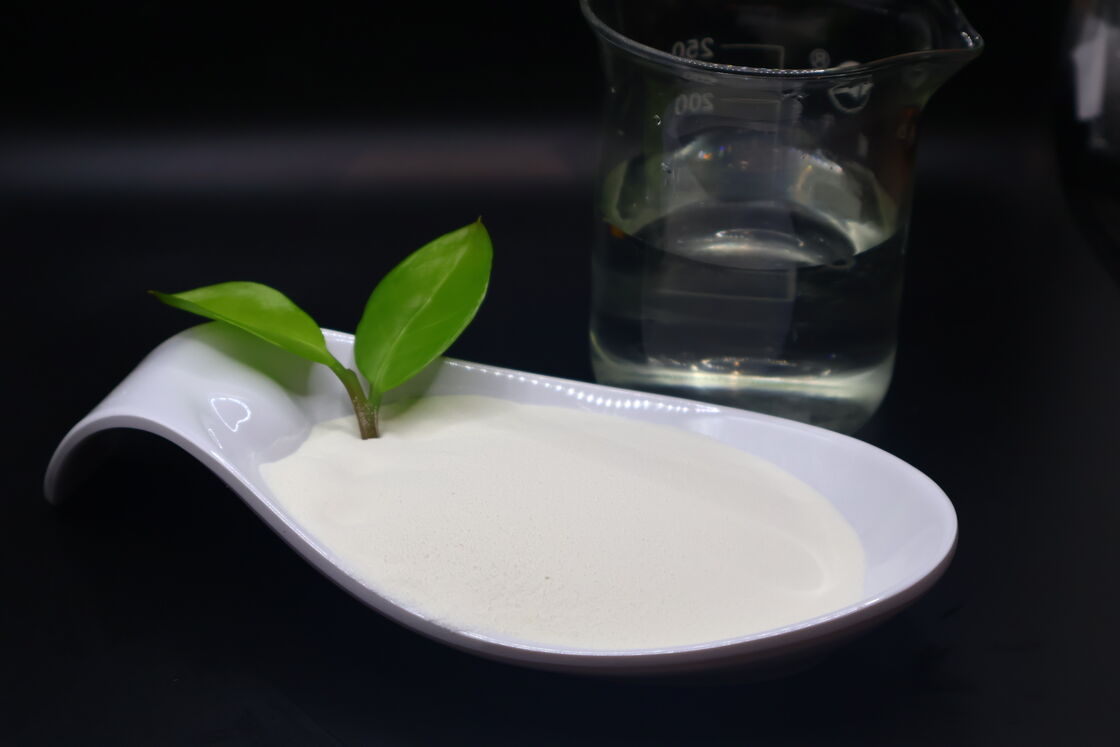 Food Grade 500-1000Dal Bovine Collagen Peptide with 36 Months Shelf Life for Functional Foods and Supplements