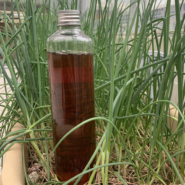 Plant Source Organic Nitrogen Liquid Fertilizer OMRI List Amino Acid 50% 8-0-0