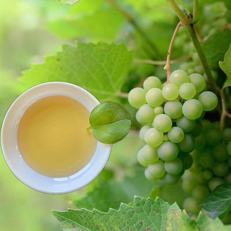 Organic Nitrogen Vegetable Amino Acid