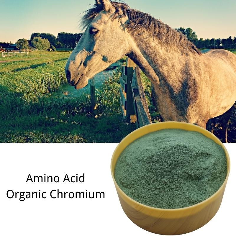 Amino Acid Trace Elements Protein Chromium Animal Feed Additive